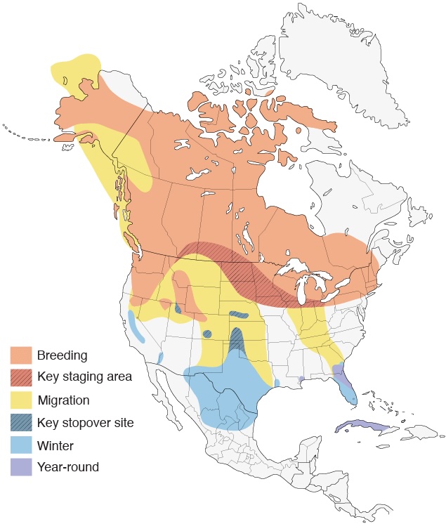sandhill-crane-migration-map.jpg